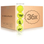 HEAD Cs 36er Box