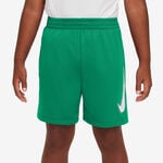 Nike Dri-Fit Graphic Shorts
